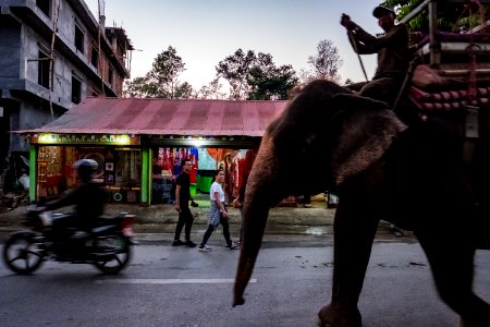 USAID Measuring Impact Conservation Enterprise Retrospective (Nepal; National Trust for Nature Conservation) (40301342401) photo