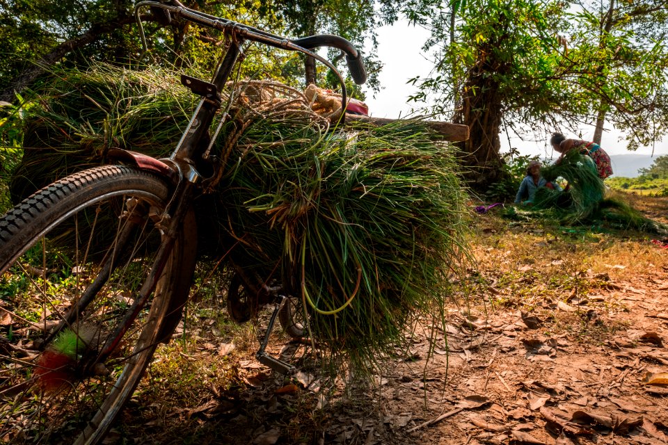 USAID Measuring Impact Conservation Enterprise Retrospective (Nepal; National Trust for Nature Conservation) (39589609224)
