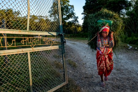 USAID Measuring Impact Conservation Enterprise Retrospective (Nepal; National Trust for Nature Conservation) (39404246905)