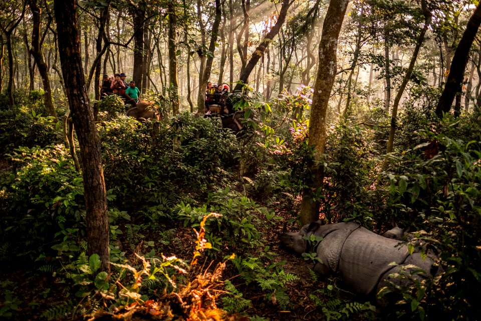 USAID Measuring Impact Conservation Enterprise Retrospective (Nepal; National Trust for Nature Conservation) (39589403374)