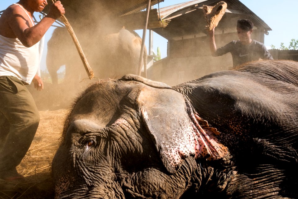 USAID Measuring Impact Conservation Enterprise Retrospective (Nepal; National Trust for Nature Conservation) (26428799348)