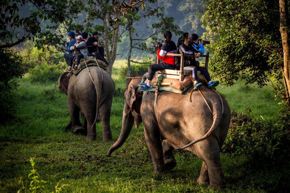 USAID Measuring Impact Conservation Enterprise Retrospective (Nepal; National Trust for Nature Conservation) (40255977672)