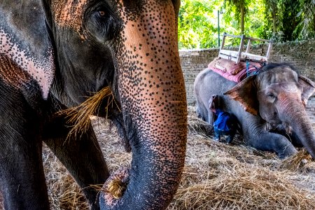 USAID Measuring Impact Conservation Enterprise Retrospective (Nepal; National Trust for Nature Conservation) (26428611278)