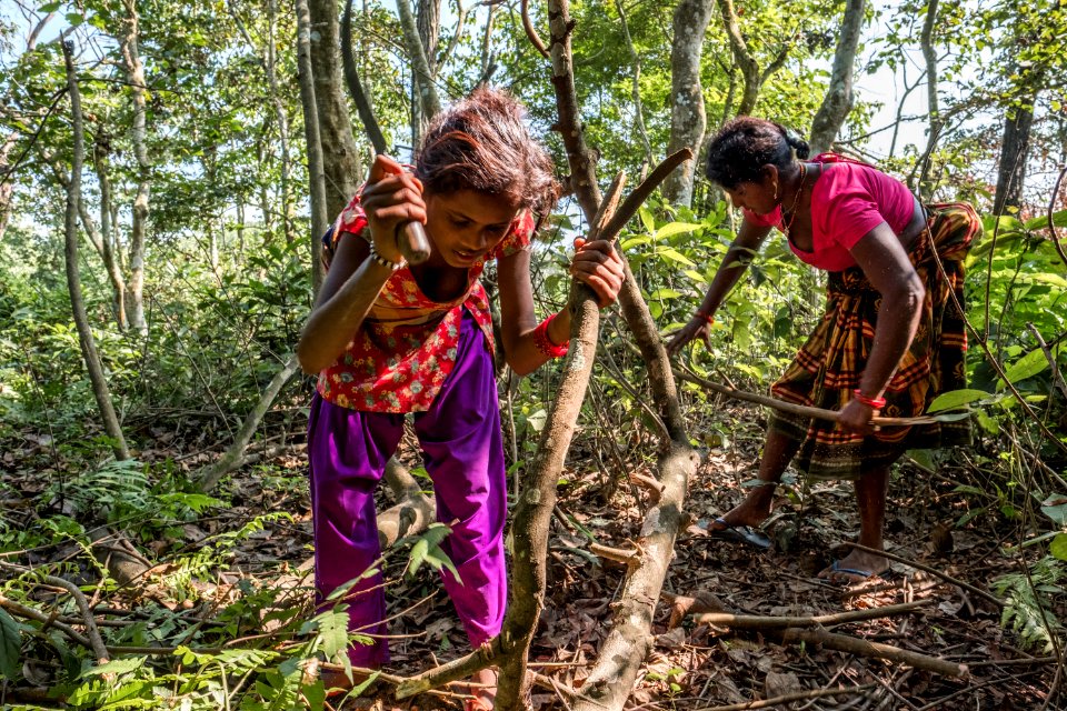 USAID Measuring Impact Conservation Enterprise Retrospective (Nepal; National Trust for Nature Conservation) (38491458830)