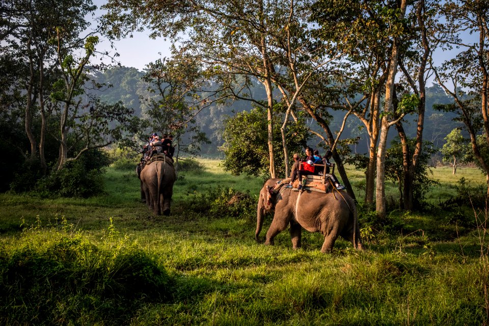 USAID Measuring Impact Conservation Enterprise Retrospective (Nepal; National Trust for Nature Conservation) (38491636730)