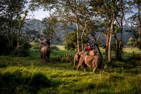 USAID Measuring Impact Conservation Enterprise Retrospective (Nepal; National Trust for Nature Conservation) (38491636730)