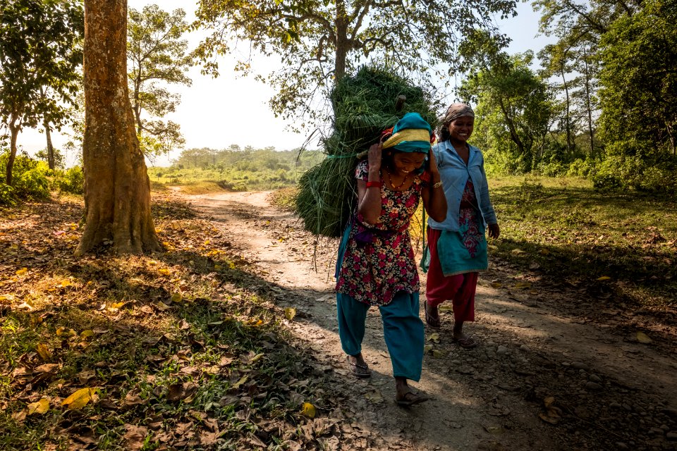 USAID Measuring Impact Conservation Enterprise Retrospective (Nepal; National Trust for Nature Conservation) (25430083497)
