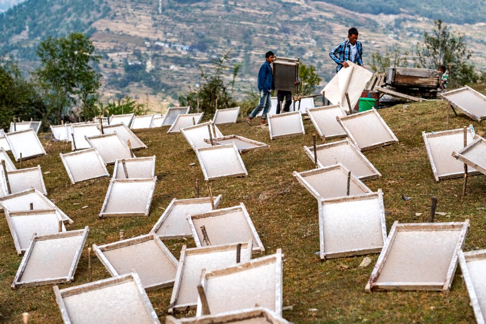 USAID Measuring Impact Conservation Enterprise Retrospective (Nepal; Asian Network for Sustainable Agriculture and Bioresrouces) (38484353750)