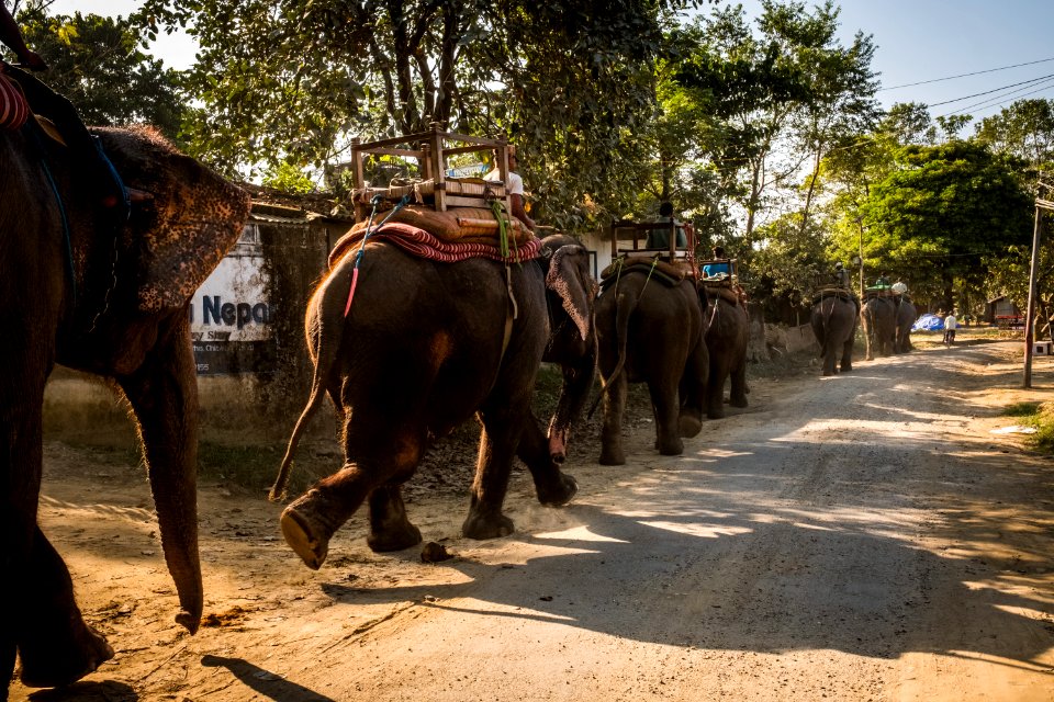 USAID Measuring Impact Conservation Enterprise Retrospective (Nepal; National Trust for Nature Conservation) (25429677077)