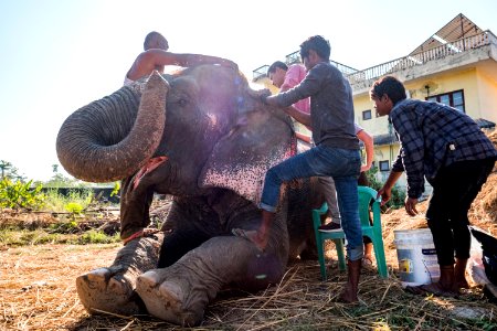 USAID Measuring Impact Conservation Enterprise Retrospective (Nepal; National Trust for Nature Conservation) (26428808568)