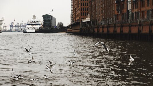 Cranes ship harbour city