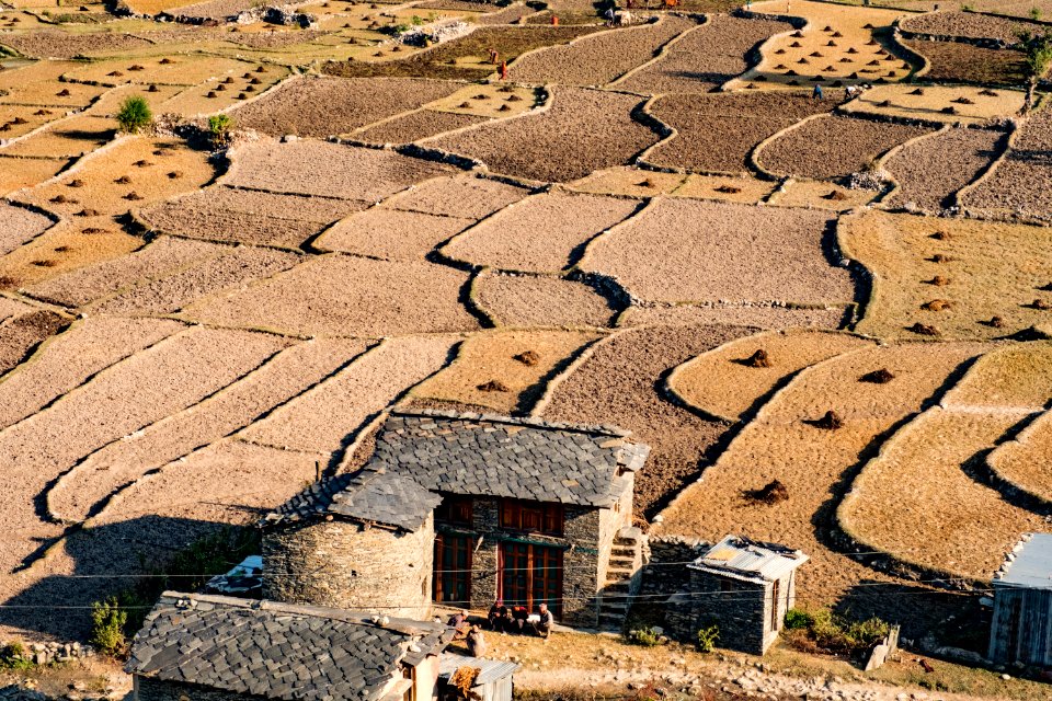 USAID Measuring Impact Conservation Enterprise Retrospective (Nepal; Asian Network for Sustainable Agriculture and Bioresrouces) (26421672648)