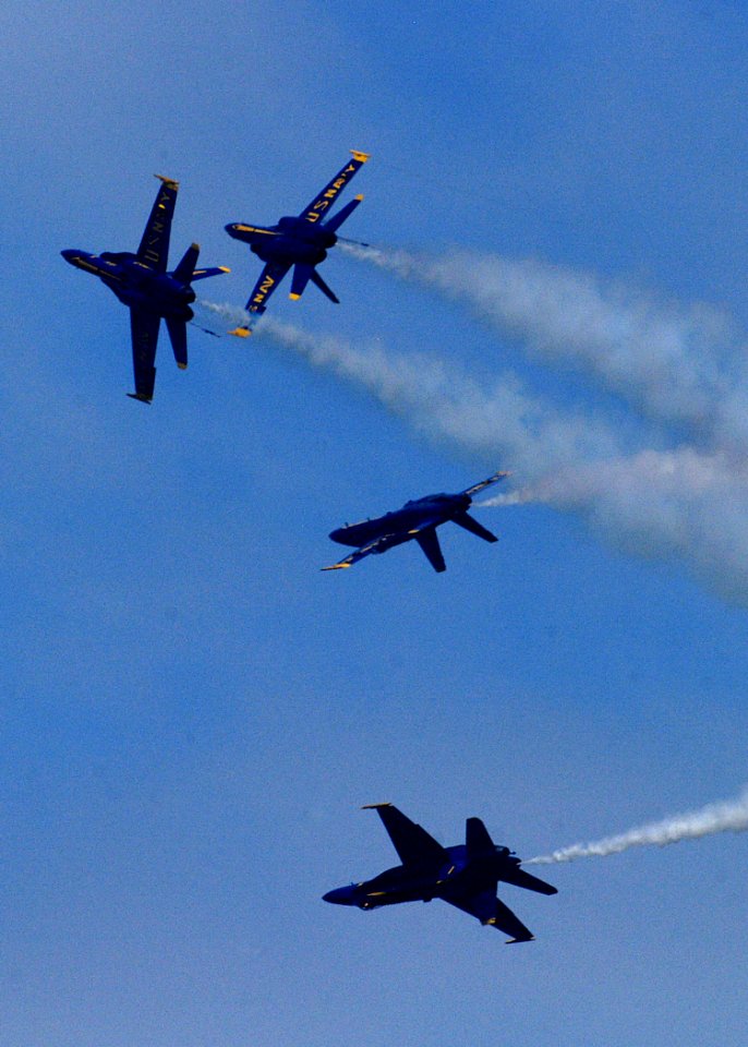 US Navy 080802-N-4649C-006 he Blue Angels perform in an air show over Genesee Park as part of Seattle Sea Fair's festivities