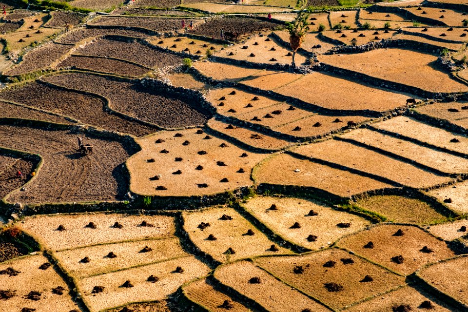 USAID Measuring Impact Conservation Enterprise Retrospective (Nepal; Asian Network for Sustainable Agriculture and Bioresrouces) (39396630575)