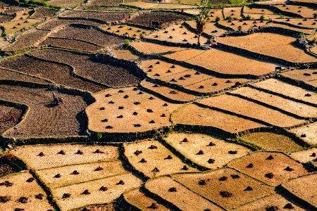 USAID Measuring Impact Conservation Enterprise Retrospective (Nepal; Asian Network for Sustainable Agriculture and Bioresrouces) (39396630575)
