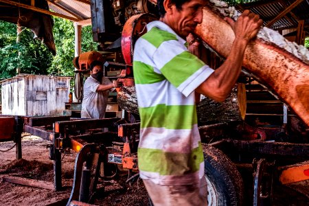 USAID Measuring Impact Conservation Enterprise Retrospective (Guatemala; Rainforest Alliance) (39407378205)