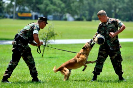 US Navy 080728-N-5328N-698 Master-at-Arms 2nd Class Adam Taylor performs patrol aggression training with