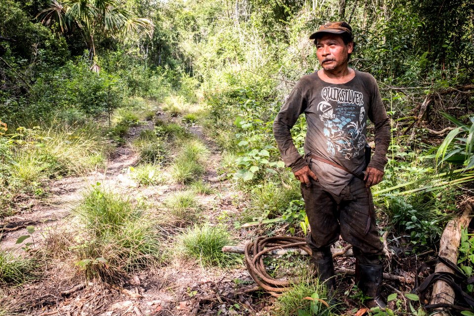 USAID Measuring Impact Conservation Enterprise Retrospective (Guatemala; Rainforest Alliance) (26431896898)