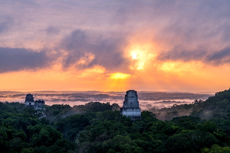 USAID Measuring Impact Conservation Enterprise Retrospective (Guatemala; Rainforest Alliance) (40304333221)