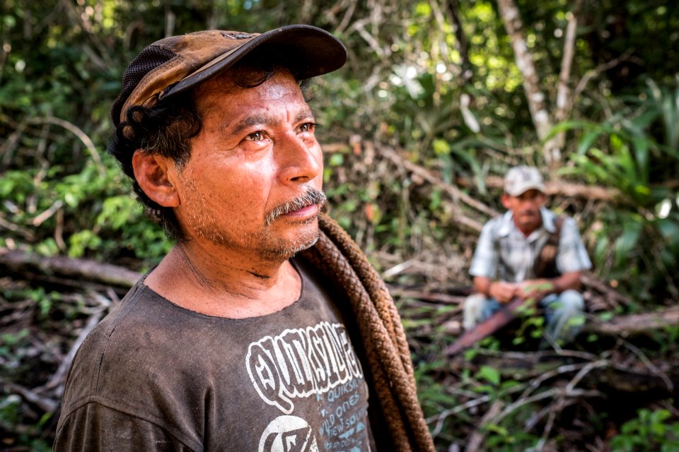 USAID Measuring Impact Conservation Enterprise Retrospective (Guatemala; Rainforest Alliance) (39592678904)