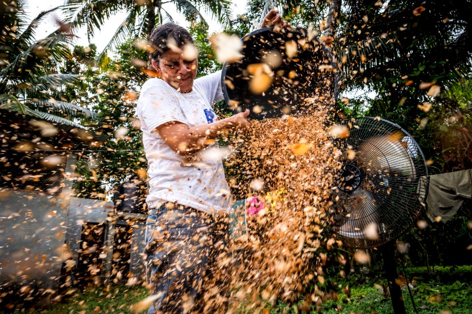 USAID Measuring Impact Conservation Enterprise Retrospective (Guatemala; Rainforest Alliance) (38495230210)