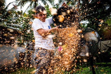 USAID Measuring Impact Conservation Enterprise Retrospective (Guatemala; Rainforest Alliance) (38495230210)