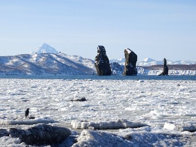 Beach sea winter