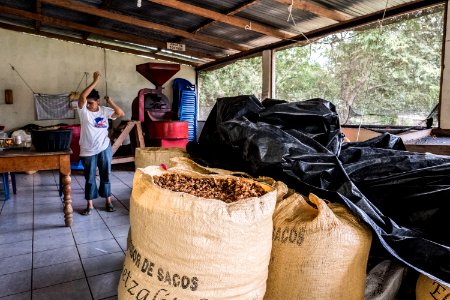 USAID Measuring Impact Conservation Enterprise Retrospective (Guatemala; Rainforest Alliance) (25433610267) photo