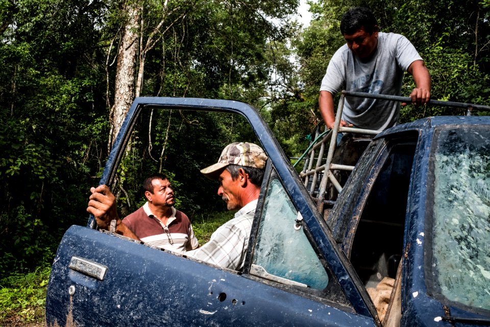 USAID Measuring Impact Conservation Enterprise Retrospective (Guatemala; Rainforest Alliance) (25433417227)