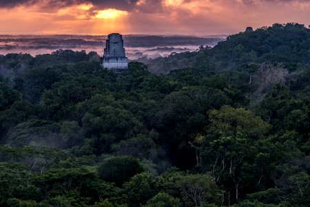 USAID Measuring Impact Conservation Enterprise Retrospective (Guatemala; Rainforest Alliance) (38494925050)