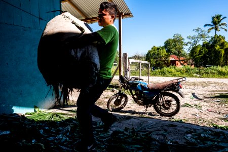 USAID Measuring Impact Conservation Enterprise Retrospective (Guatemala; Rainforest Alliance) (39593181784)