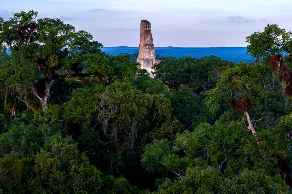 USAID Measuring Impact Conservation Enterprise Retrospective (Guatemala; Rainforest Alliance) (40304329711)