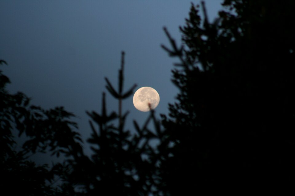 Night photograph night sky mood