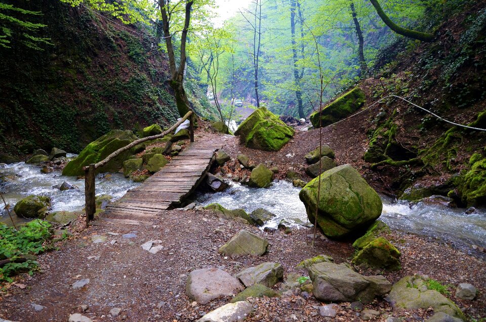 Landscape nature step