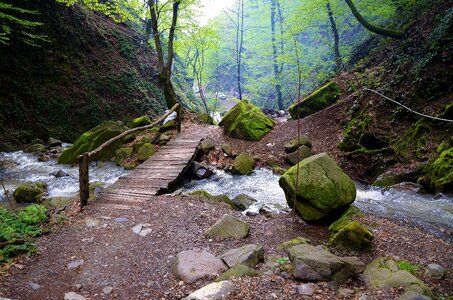 Landscape nature step photo