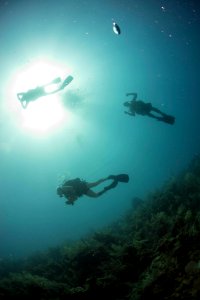 US Navy divers and Belizean Coast Guard divers work together during Southern Partnership Station '14 140626-N-IP743-275