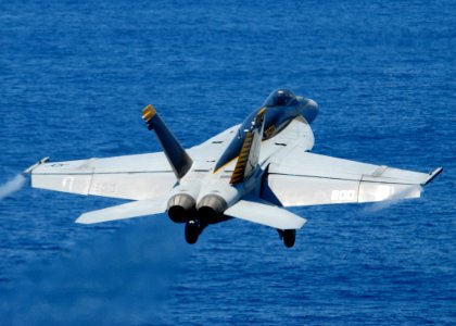 US Navy 080823-N-1644H-035 An F-A-18E from the