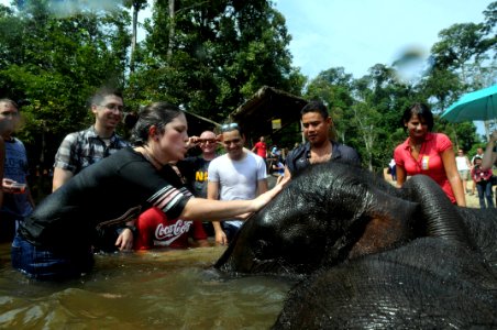 US Navy 080820-N-4009P-267 Boatswain's Mate 3rd Class Neenah Jones along with other Sailors and tourists, washes a young Asian elephant's head at the Kuala Gandha Elephant Conservation Center photo