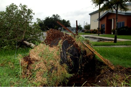US Navy 080902-N-3285B-022 A fallen tree lays in front of the Fitness Center at Naval Air Station Joint Reserve Base (NAS JRB) New Orleans photo