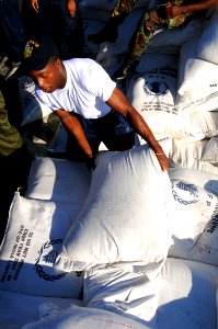 US Navy 080915-N-7955L-003 Operations Specialist Seaman Mike Watson, embarked aboard the amphibious assault ship USS Kearsarge (LHD 3), moves bags of rice during a humanitarian assistance mission in Haiti photo