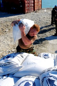 US Navy 080915-N-7955L-080 Hospital Corpsman Shane Leidig, embarked aboard the amphibious assault ship USS Kearsarge (LHD 3), carries supplies during a humanitarian assistance mission in Haiti photo