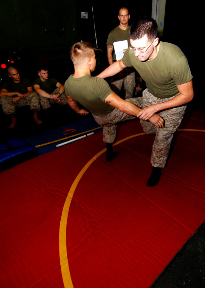 US Navy 081001-N-4236E-006 Marines practice martial art techniques