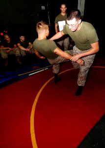 US Navy 081001-N-4236E-006 Marines practice martial art techniques