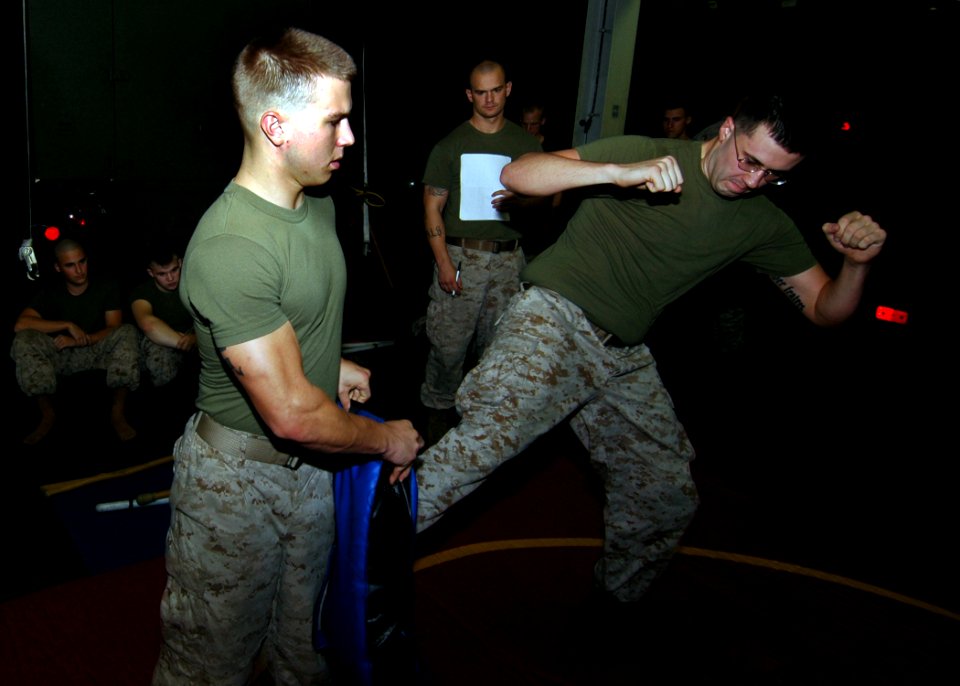 US Navy 081001-N-4236E-010 Marines practice martial art techniques