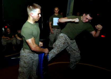US Navy 081001-N-4236E-010 Marines practice martial art techniques