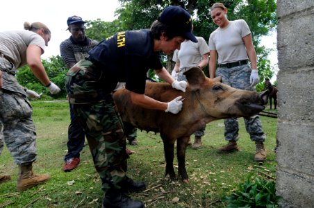 US Navy 081006-N-5642P-330 U.S. Public Health Service Lt. Cmdr. Julie Sinclair, a veterinarian embarked aboard the amphibious assault ship USS Kearsarge (LHD 3), administers a vaccination to a pig during a community service pro