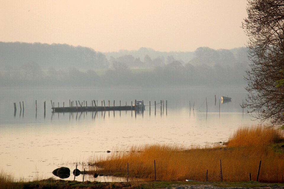 Dawn waters nature