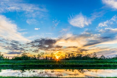 Dawn sundown swamp