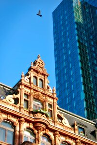 Building frankfurt historic center photo