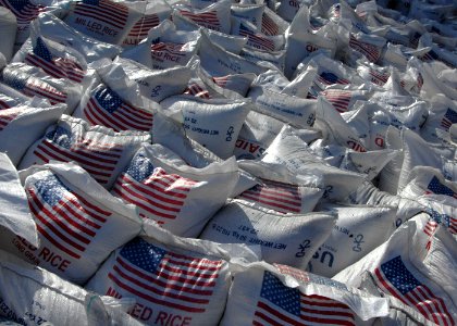 US Navy 100213-N-5961C-004 Bags of rice are staged for distribution at an aid distribution point in Port-au-Prince, Haiti